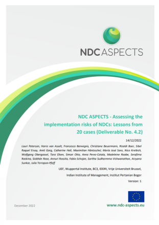 Screenshot (379).png ndc deliverable